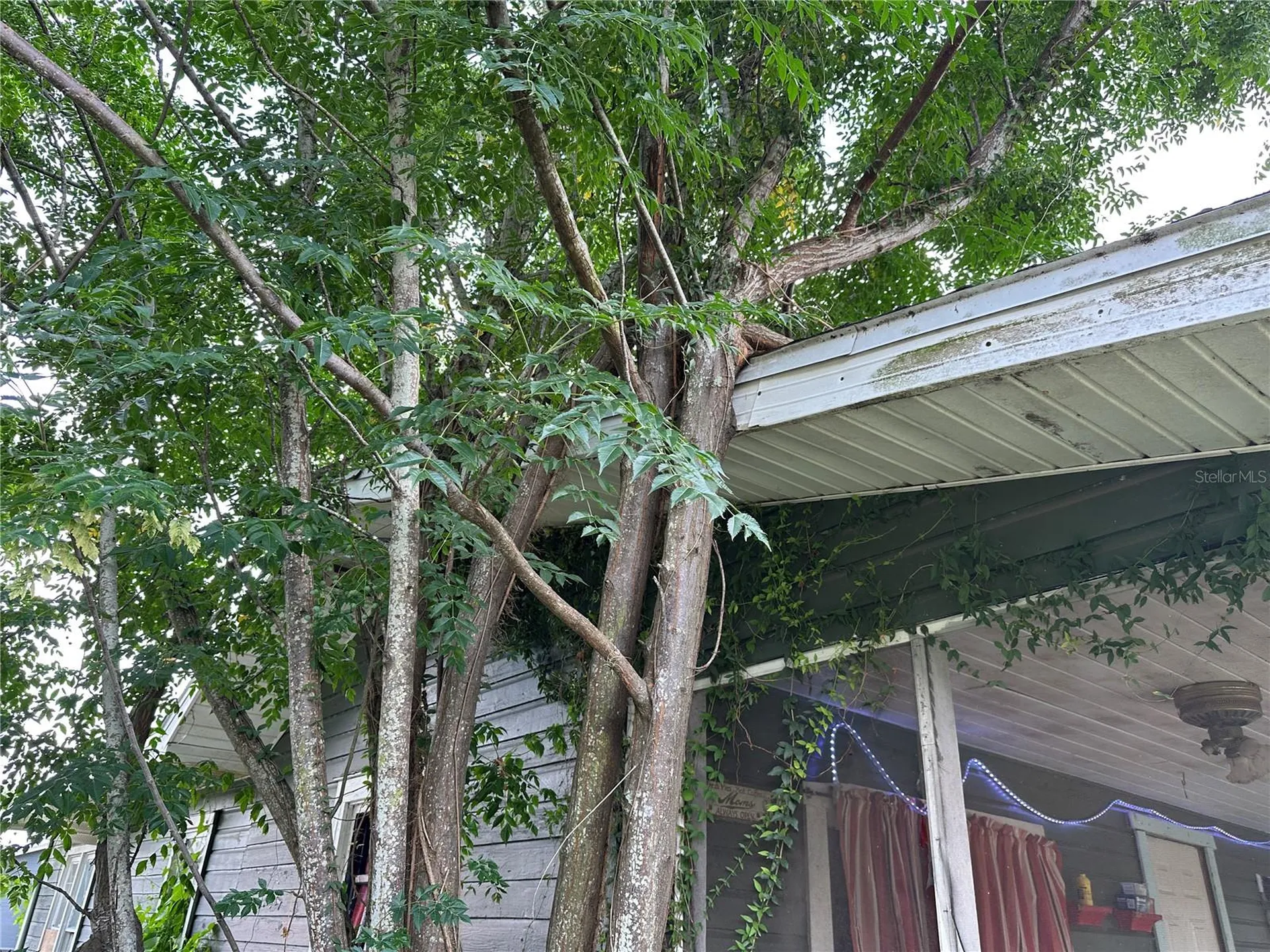 1105 NE 1st Street Mulberry FL 33860