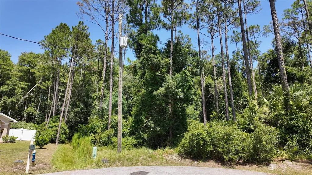 8 Zaftig Court Palm Coast FL 32164