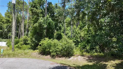 8 Zaftig Court Palm Coast FL 32164