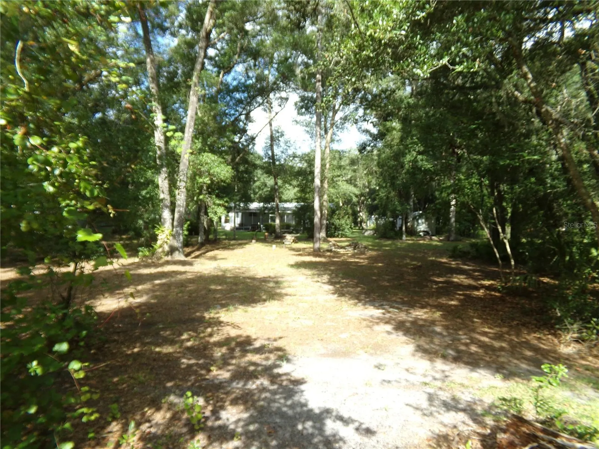12199 SW 44th Drive Webster FL 33597