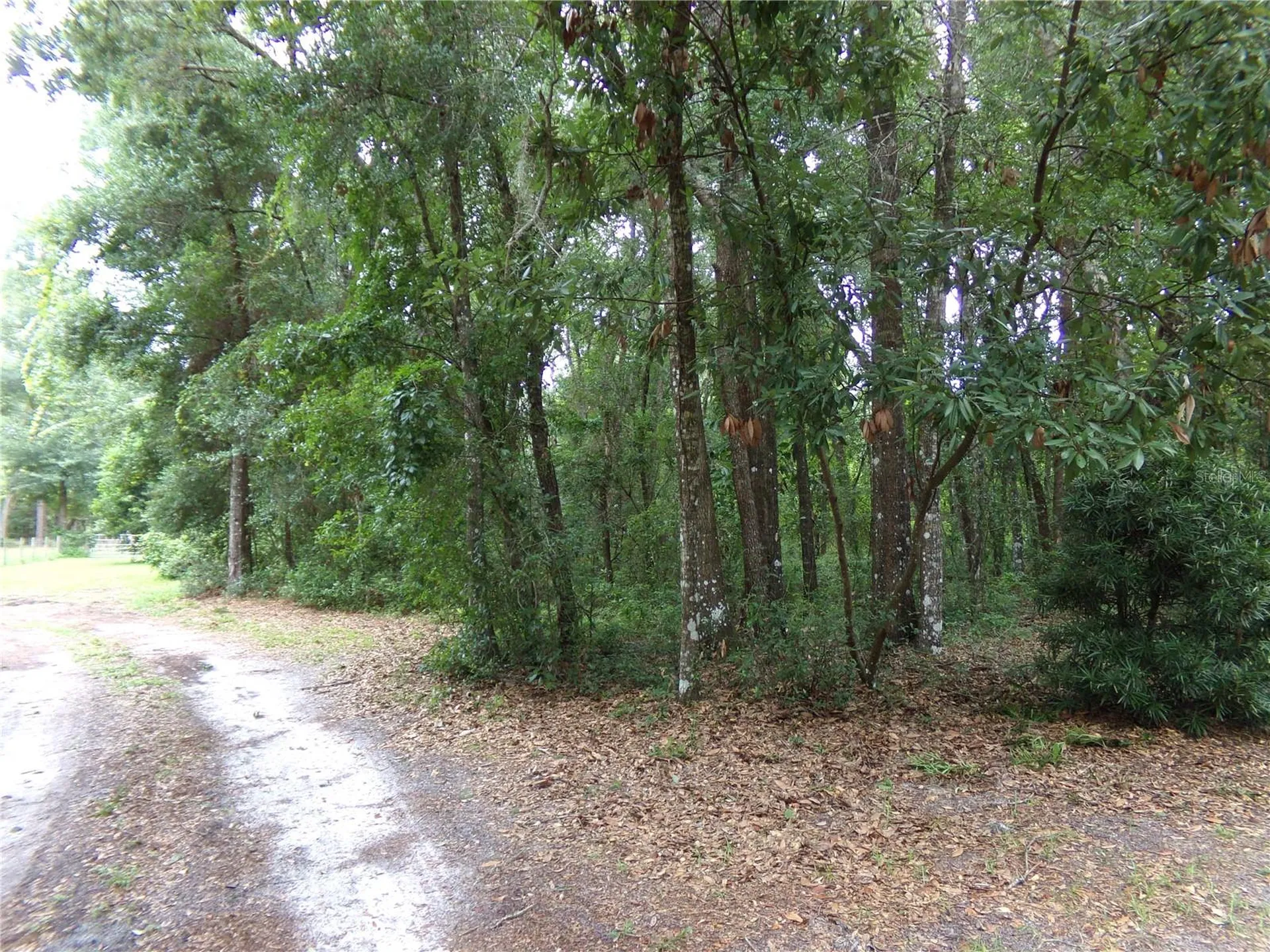 12199 SW 44th Drive Webster FL 33597
