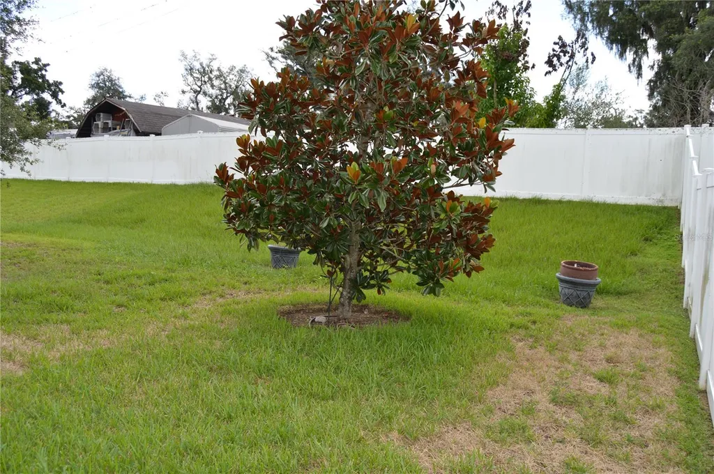 1214 Florablu Drive Seffner FL 33584