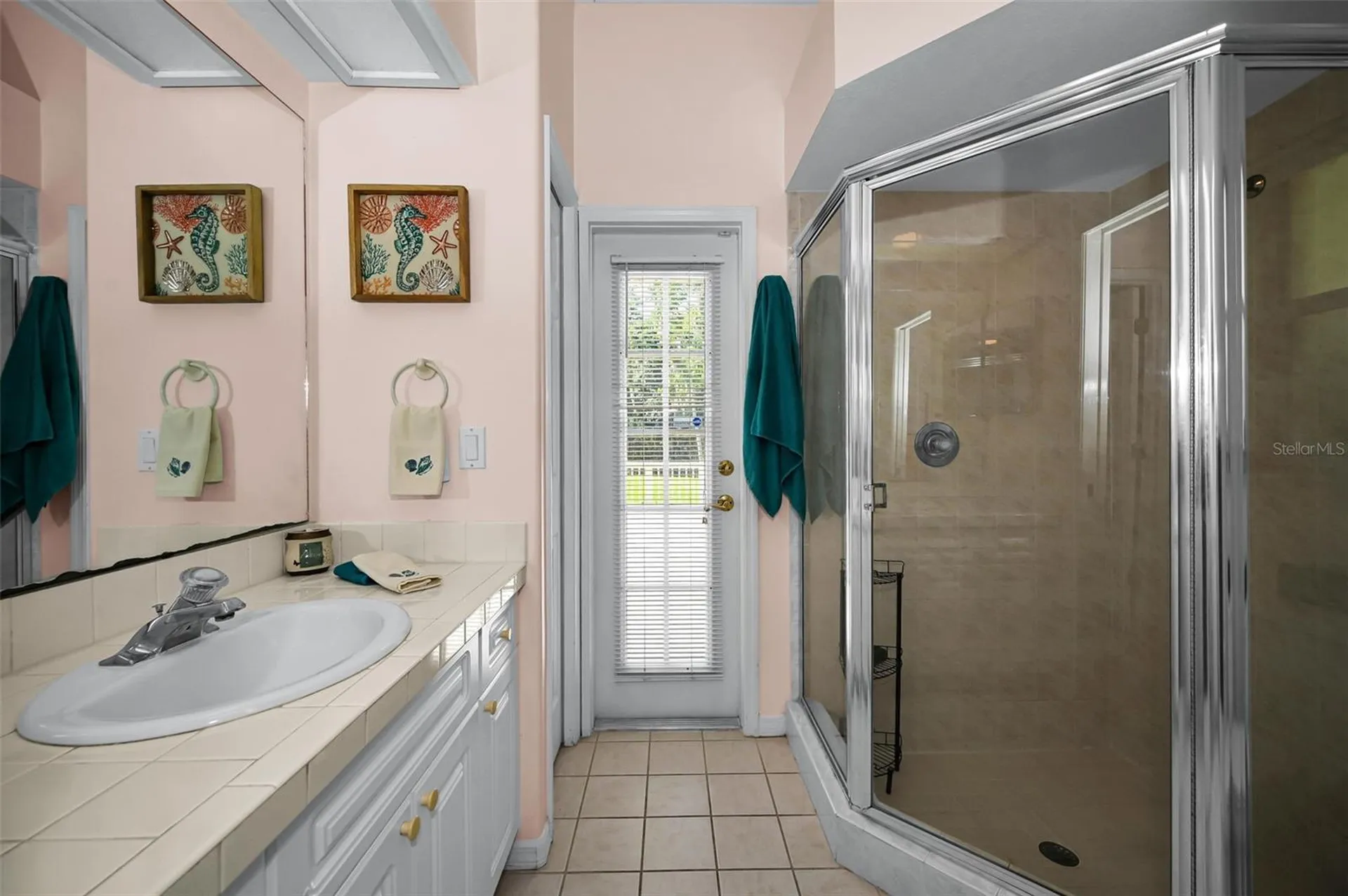 3848 Tarian Court Palm Harbor FL 34684