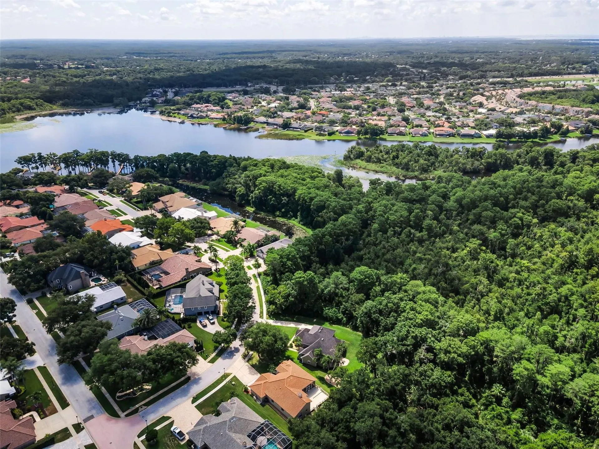 3848 Tarian Court Palm Harbor FL 34684
