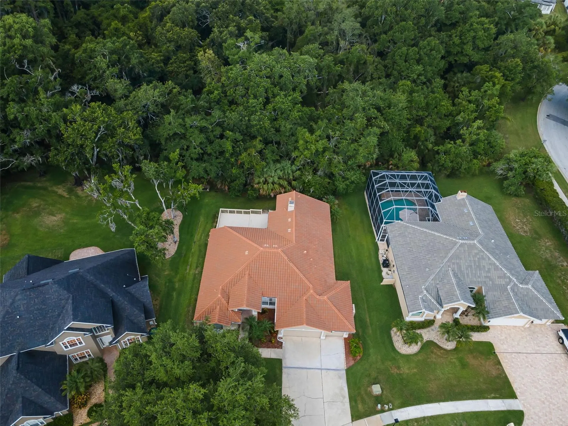 3848 Tarian Court Palm Harbor FL 34684