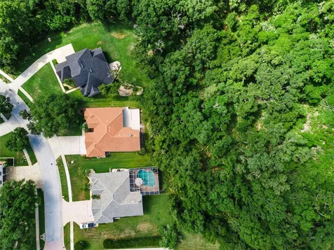3848 Tarian Court Palm Harbor FL 34684