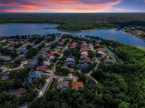 3848 Tarian Court Palm Harbor FL 34684