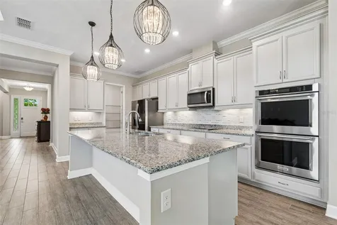 747 Cajeput Loop Tarpon Springs FL 34689