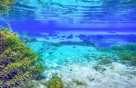 5615 SW 186th Court Dunnellon FL 34432