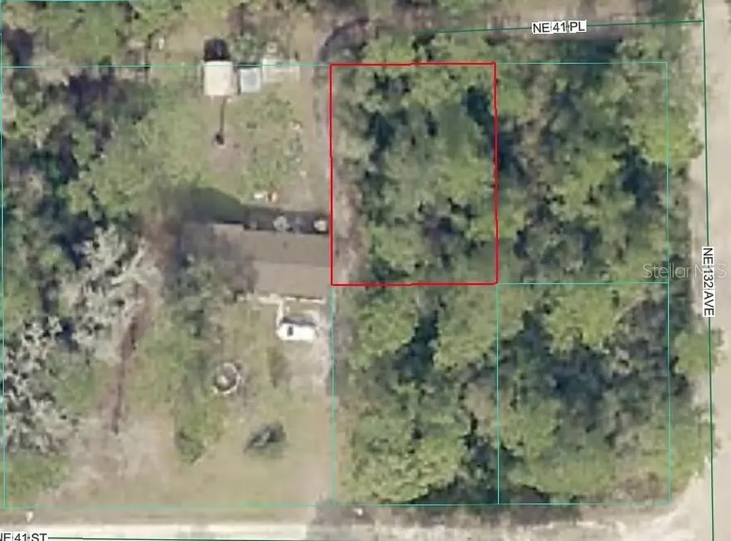 NE 41st Place Silver Springs FL 34488
