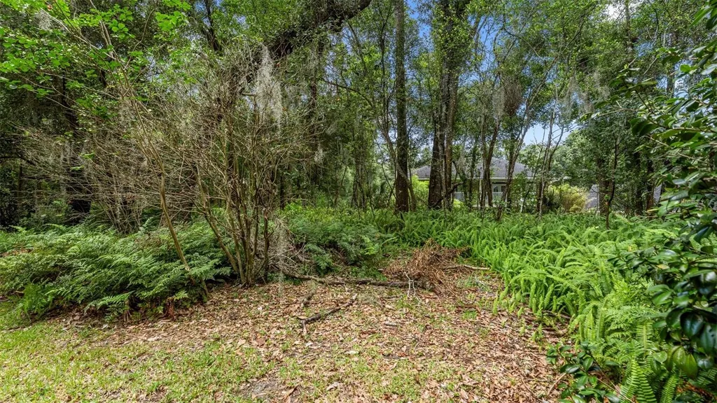 1237 Cardinal Lane Deland FL 32720
