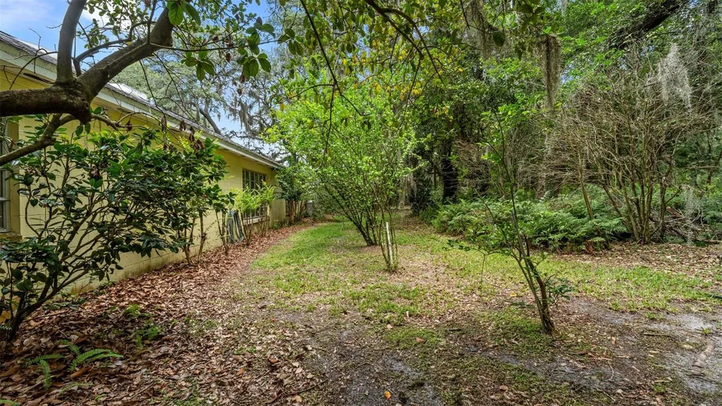 1237 Cardinal Lane Deland FL 32720