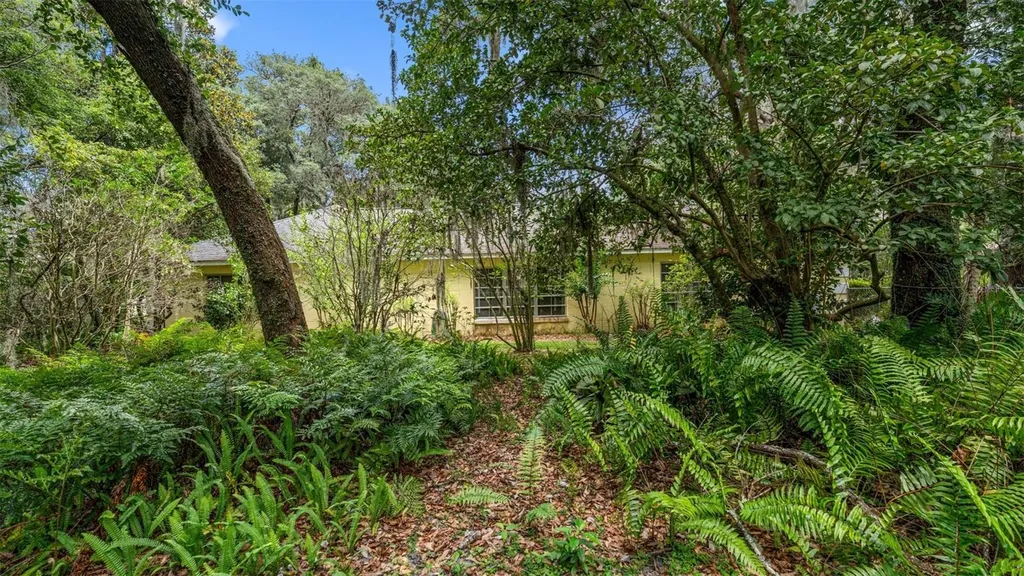 1237 Cardinal Lane Deland FL 32720