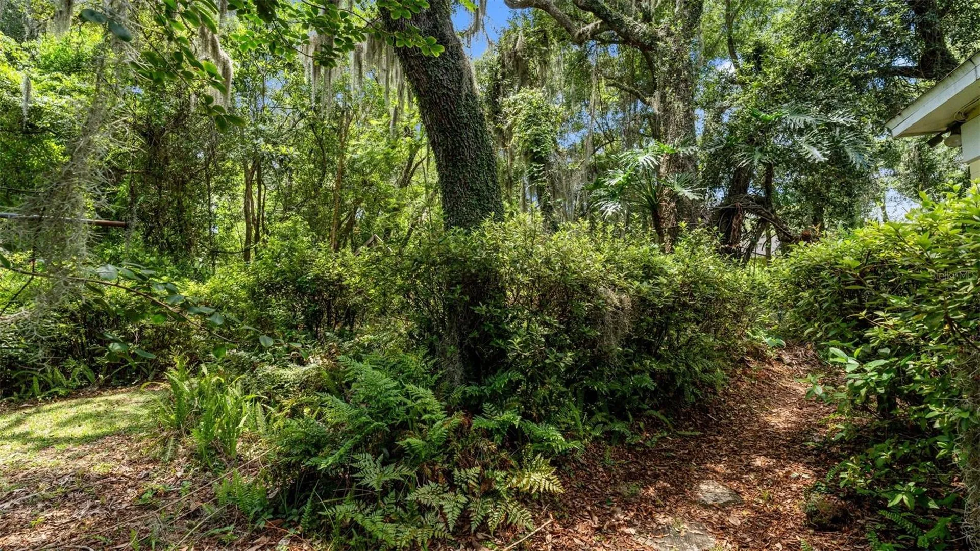 1237 Cardinal Lane Deland FL 32720