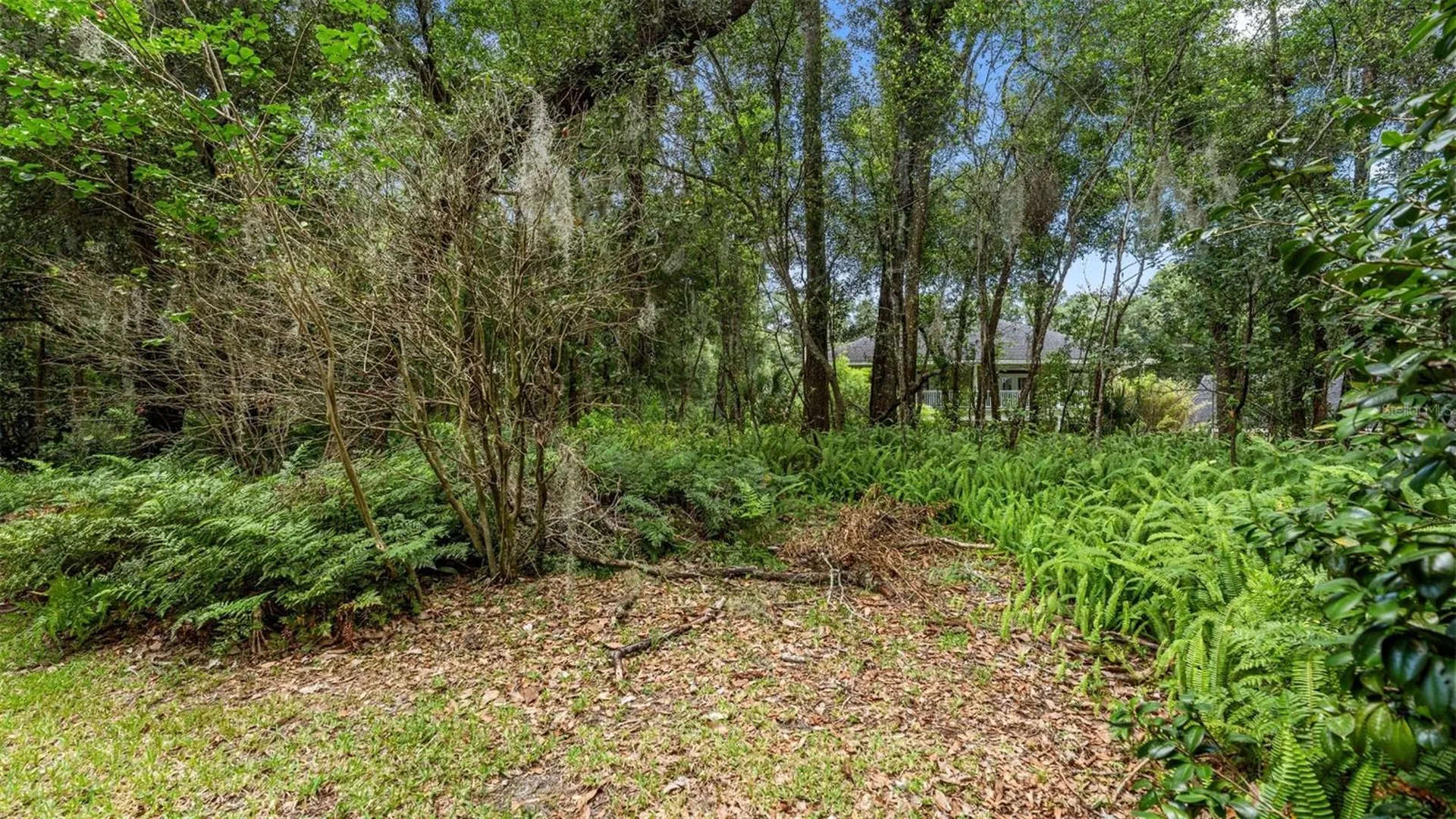1237 Cardinal Lane Deland FL 32720