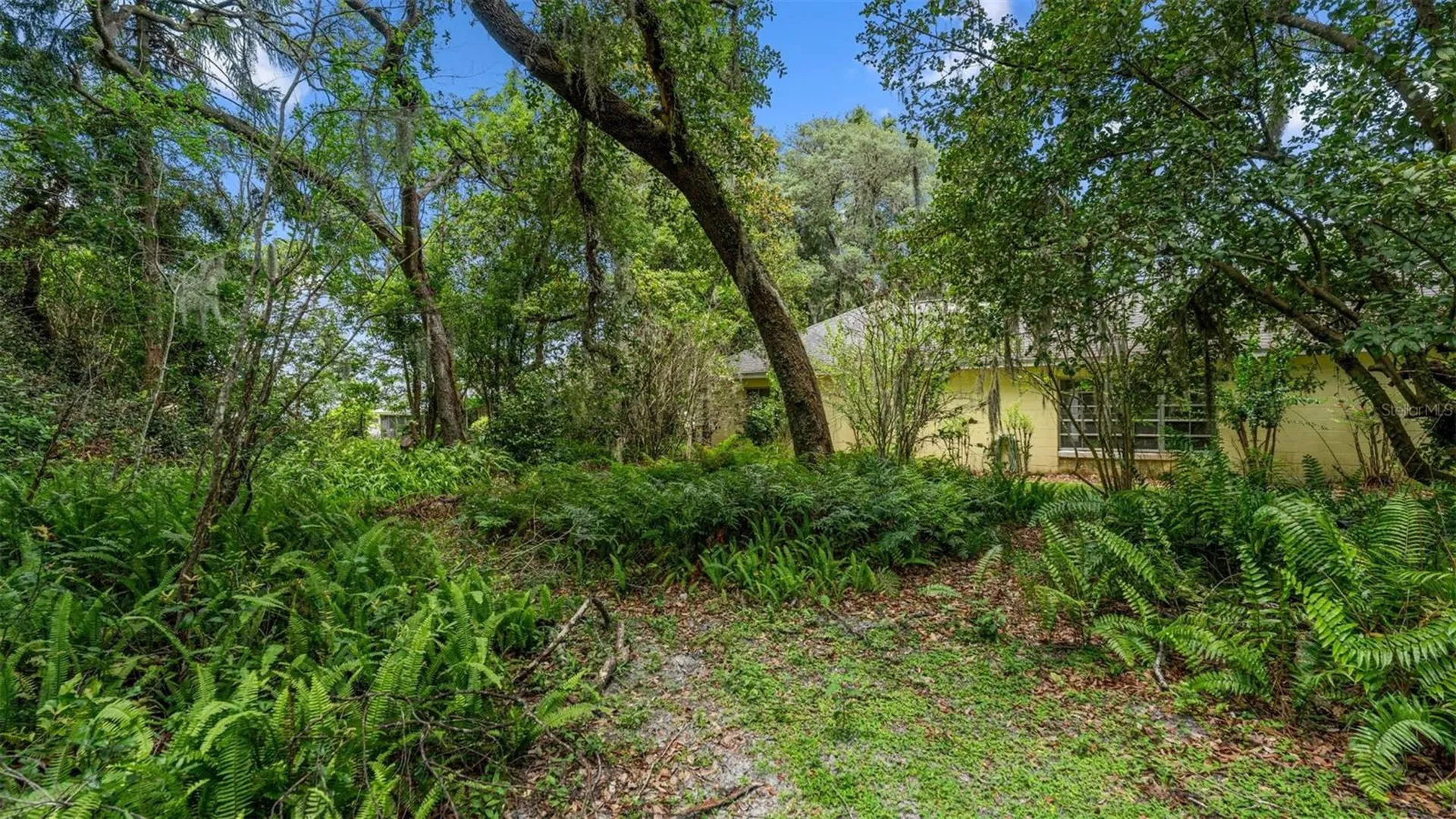 1237 Cardinal Lane Deland FL 32720