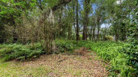 1237 Cardinal Lane Deland FL 32720