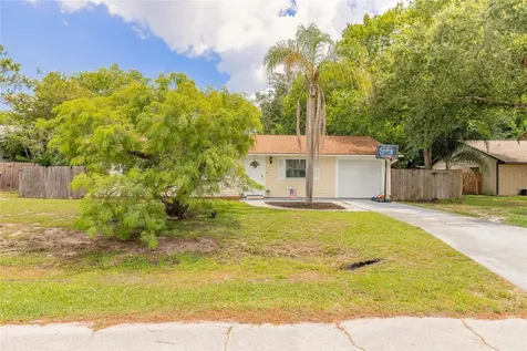 3223 Umbrella Tree Drive Edgewater FL 32141