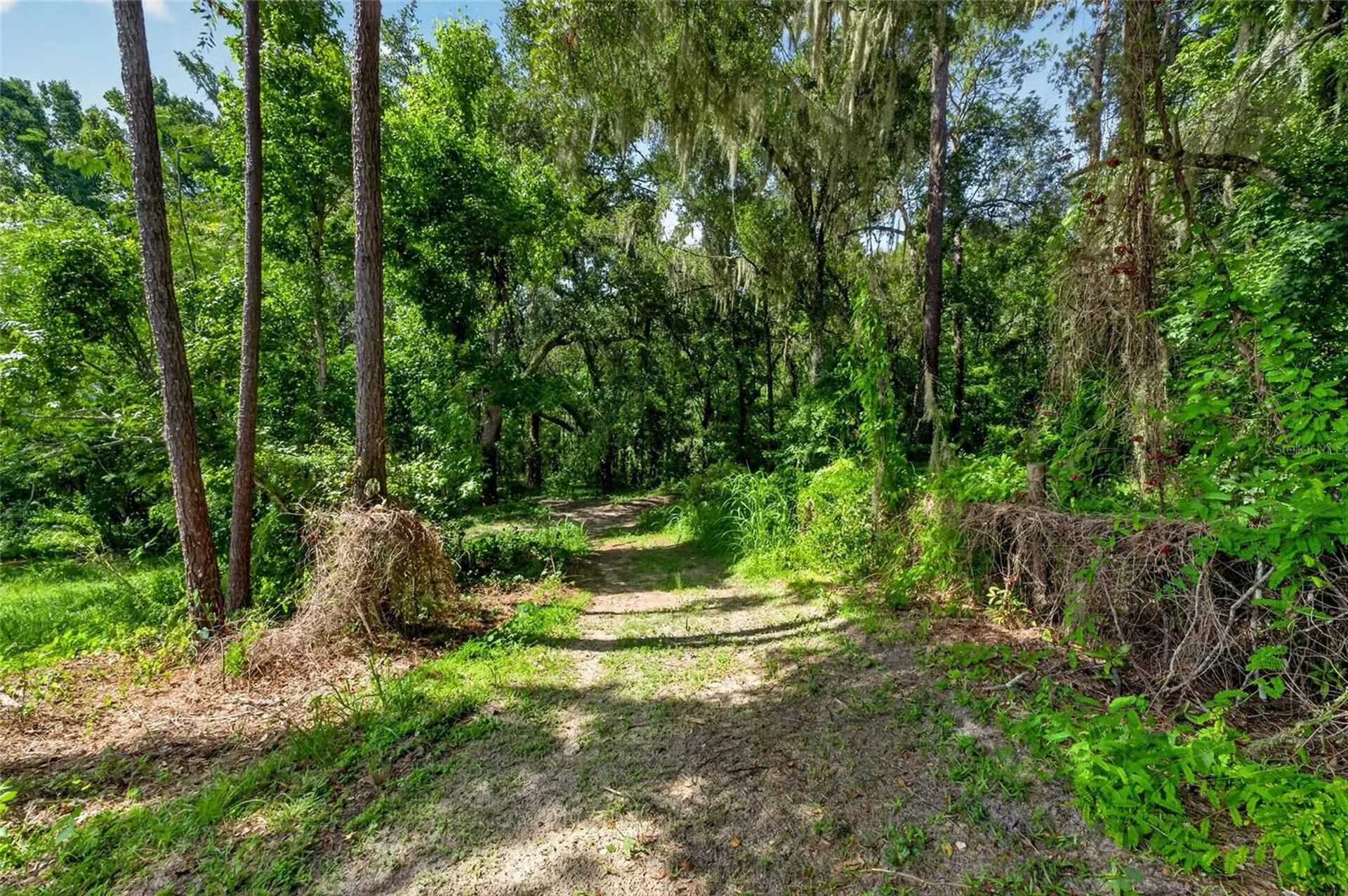 28211 Magnon Drive Brooksville FL 34601