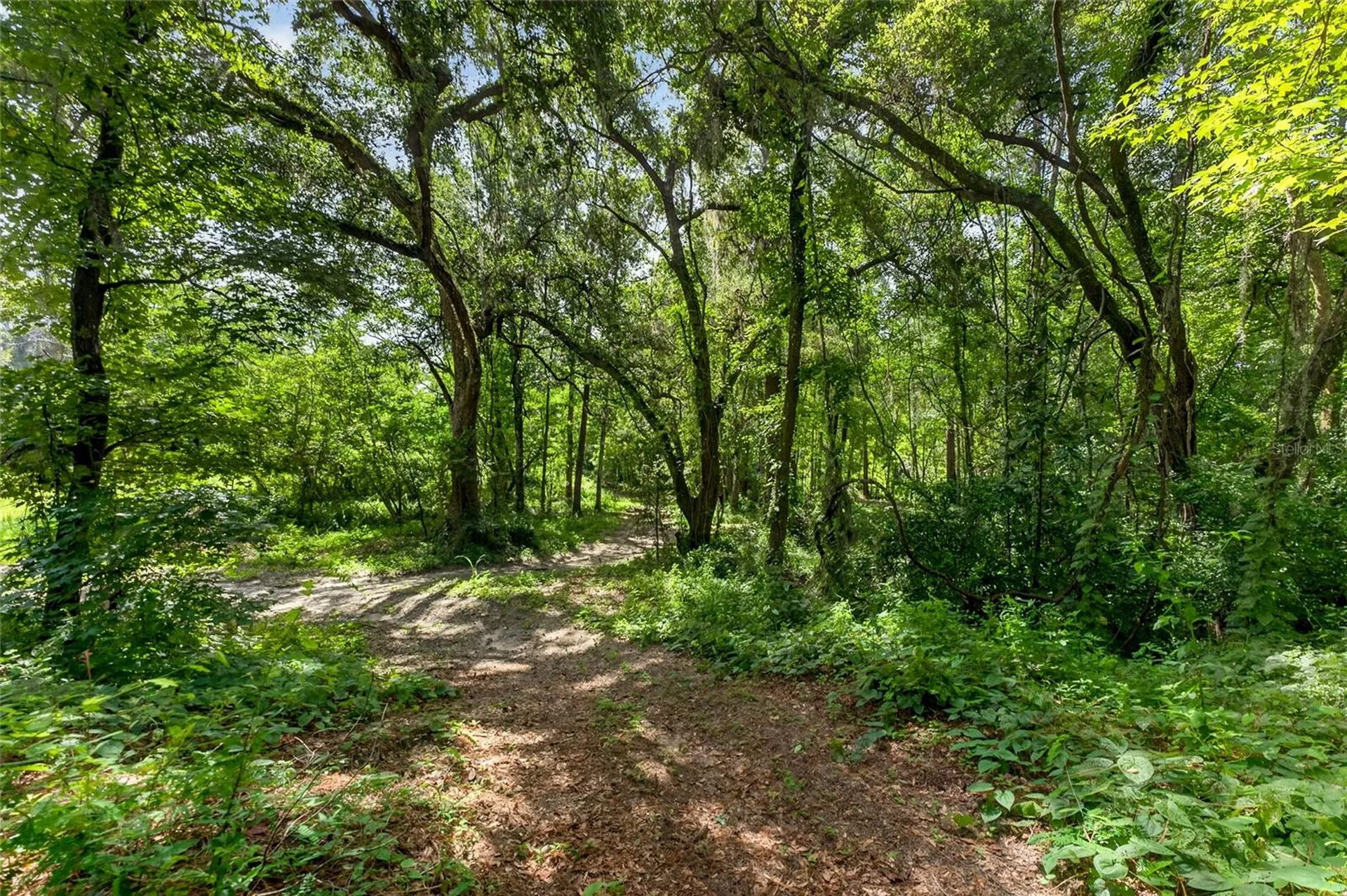 28211 Magnon Drive Brooksville FL 34601