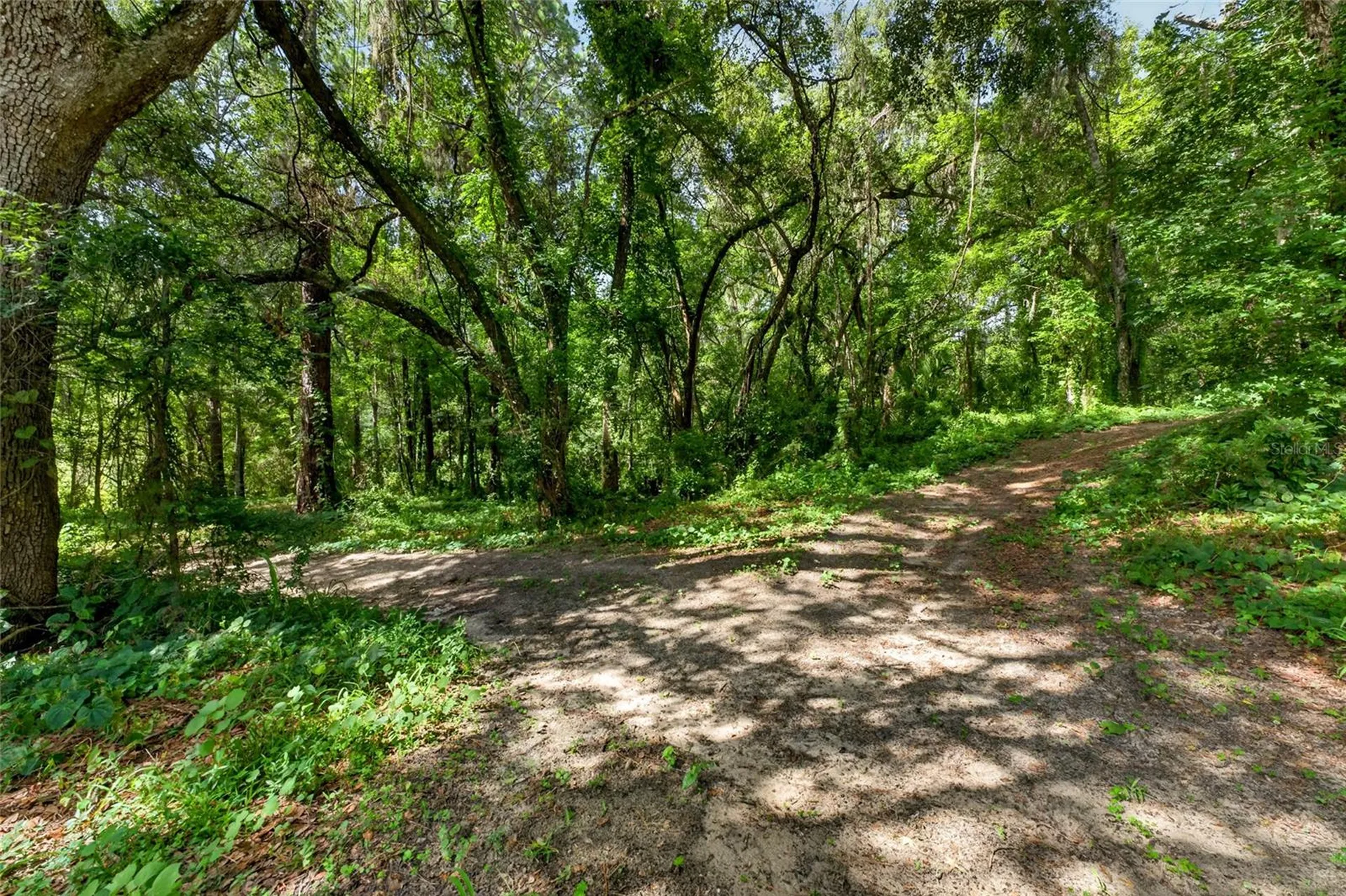 28211 Magnon Drive Brooksville FL 34601