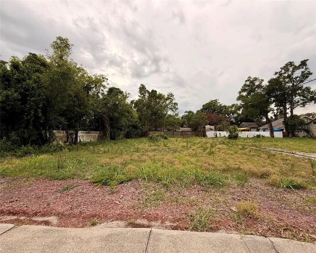 3208 N Tampa Street Tampa FL 33603