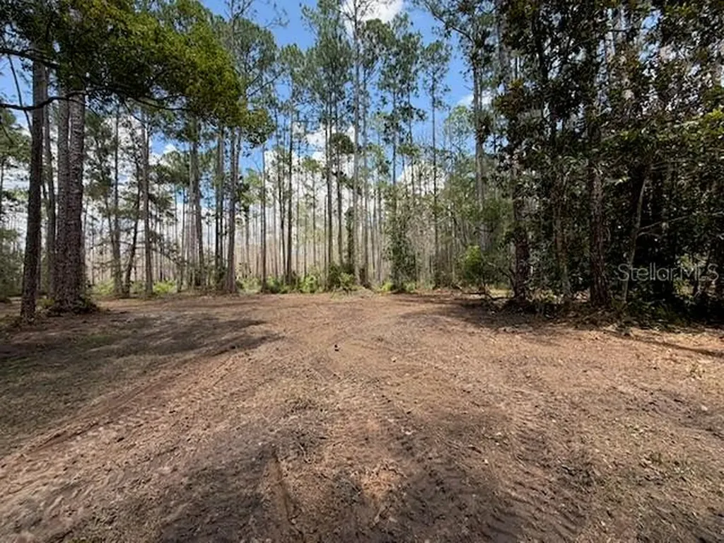 9TH Avenue Deland FL 32724