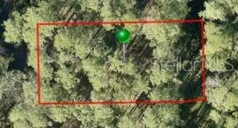 9TH Avenue Deland FL 32724