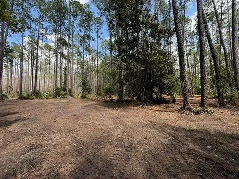 9TH Avenue Deland FL 32724