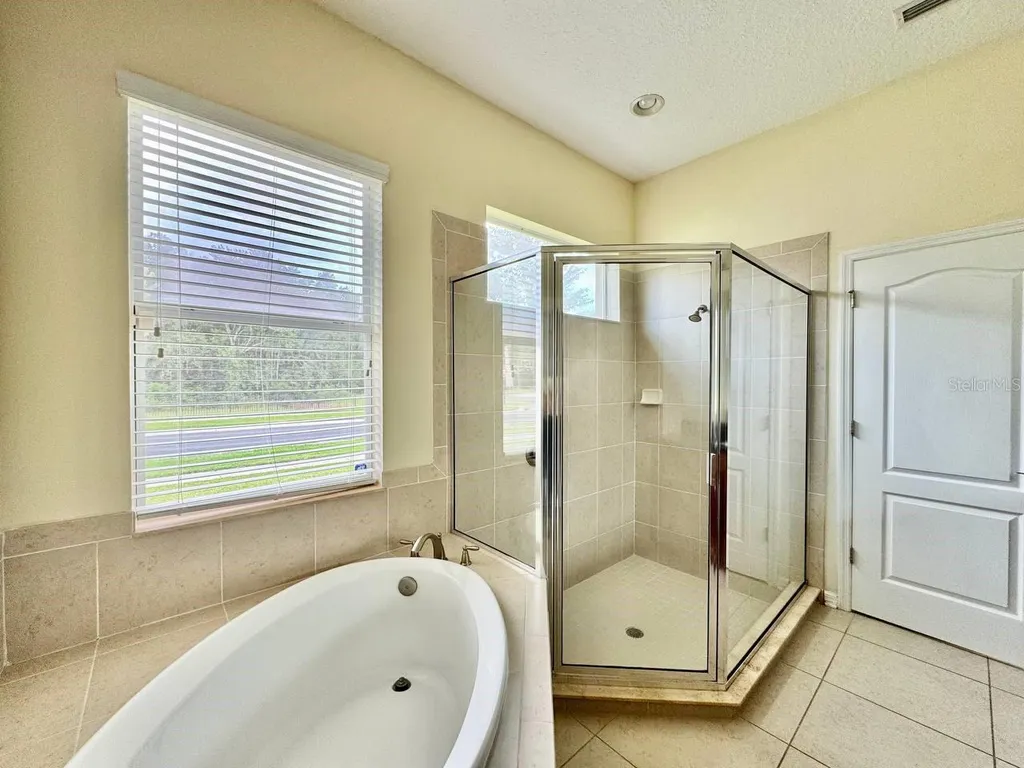 3989 Windcrest Drive Wesley Chapel FL 33544