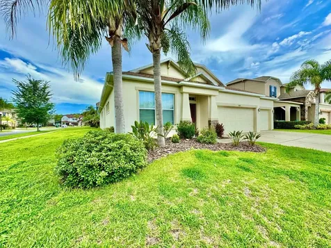 3989 Windcrest Drive Wesley Chapel FL 33544
