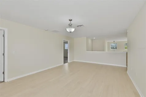 10811 Kirkwall Port Drive Wimauma FL 33598