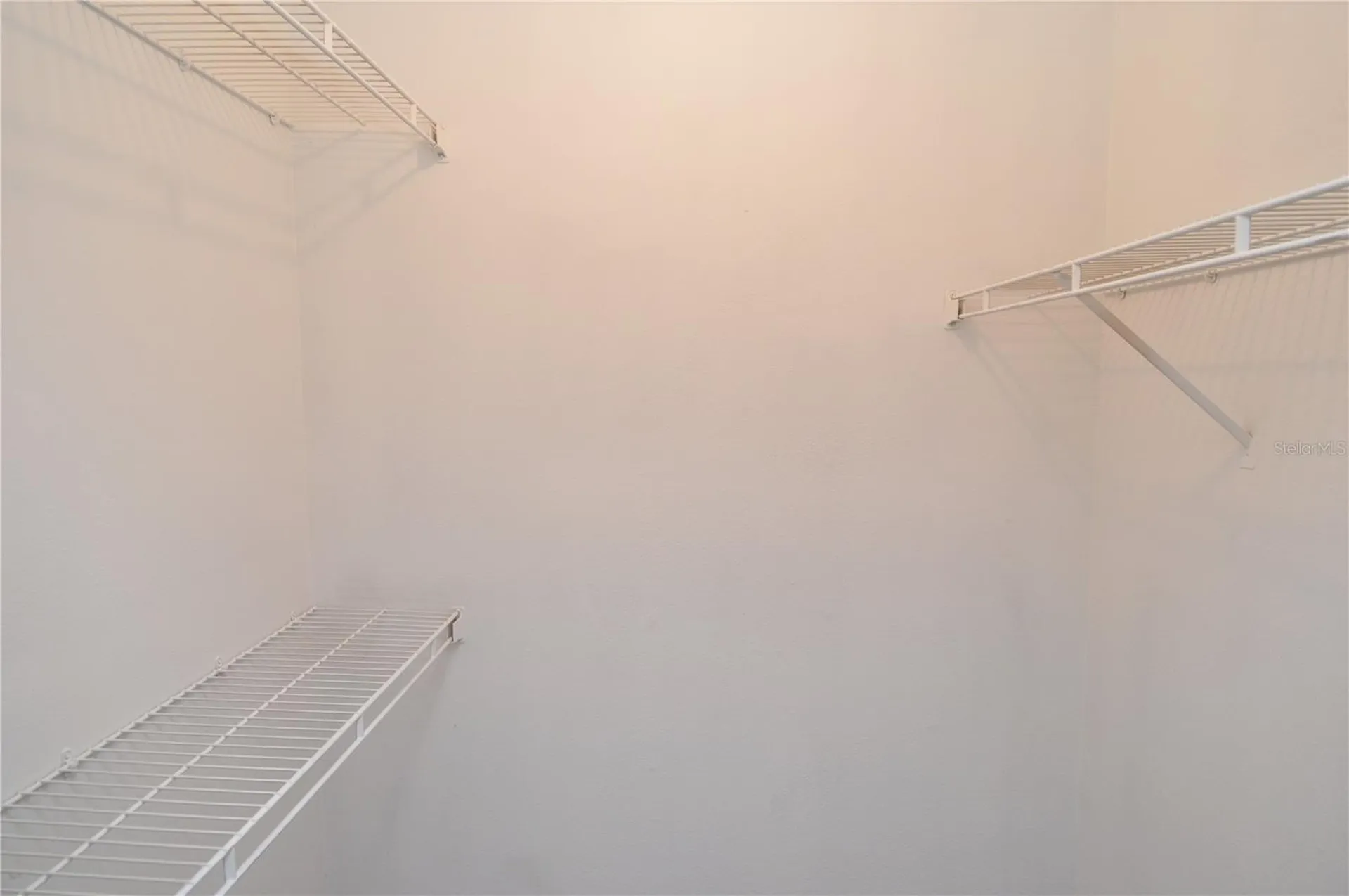 8625 Mallard Reserve Drive Tampa FL 33614