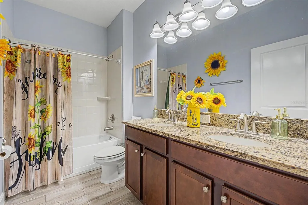 11923 Frost Aster Drive Riverview FL 33579