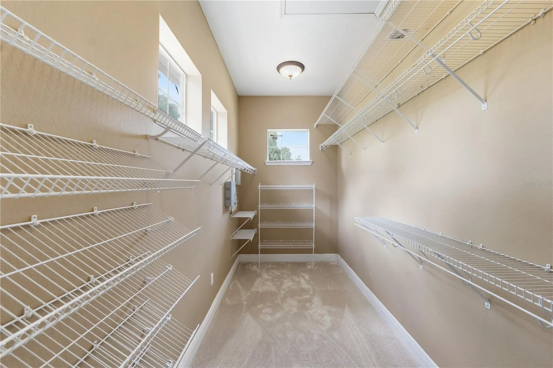 10307 Reclinata Lane Tampa FL 33618
