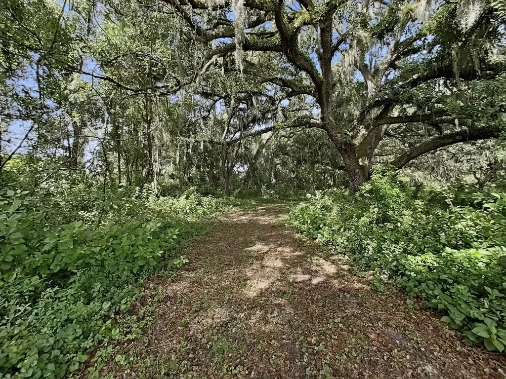 1729 Fats Lane Seffner FL 33584