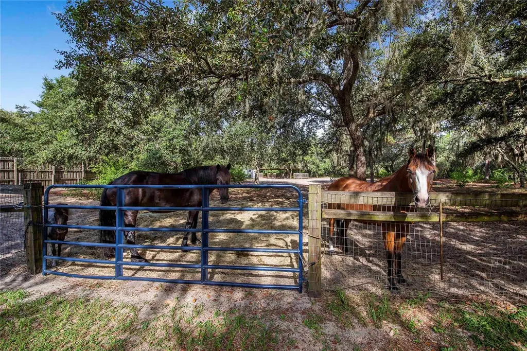 10740 Jim Edwards Road Haines City FL 33844