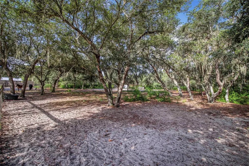10740 Jim Edwards Road Haines City FL 33844