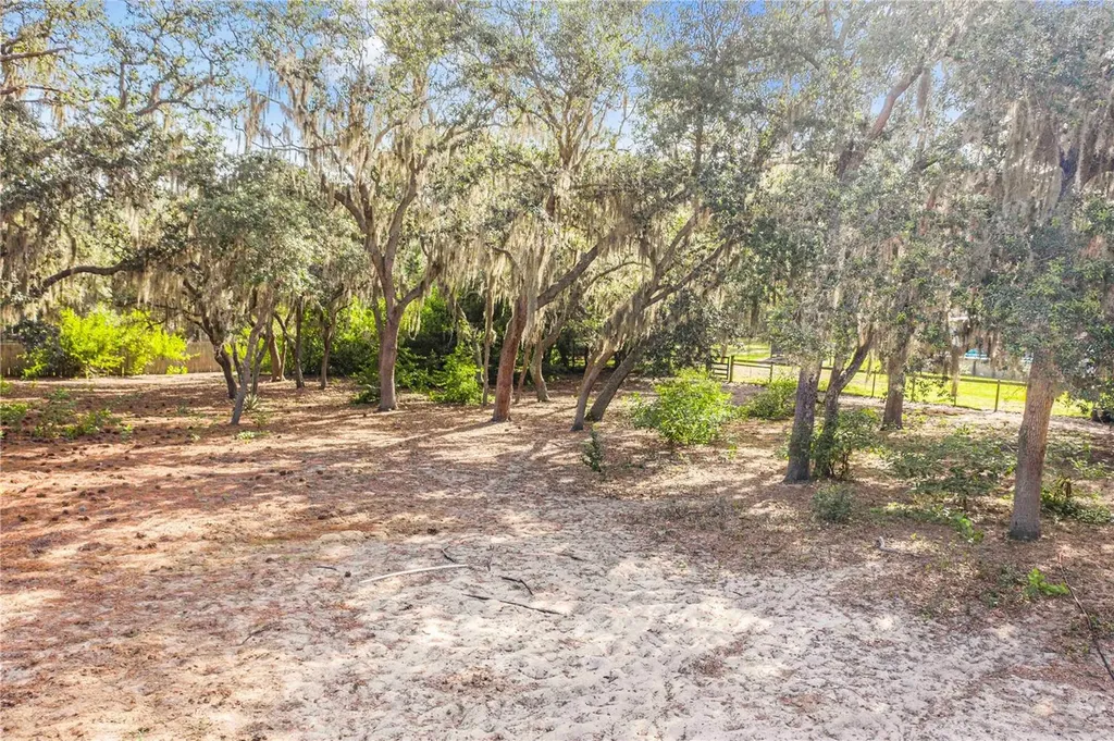 10740 Jim Edwards Road Haines City FL 33844