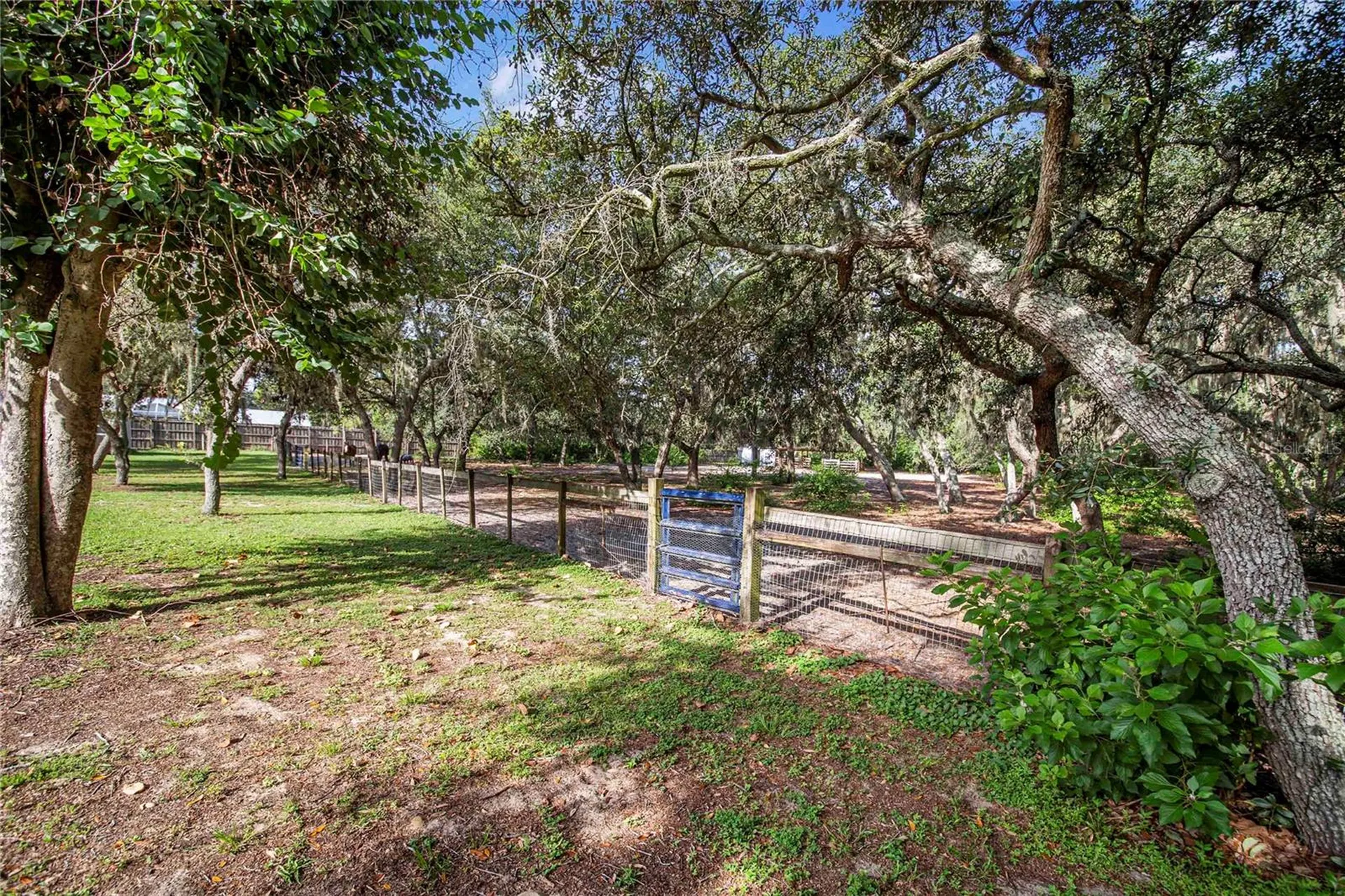 10740 Jim Edwards Road Haines City FL 33844