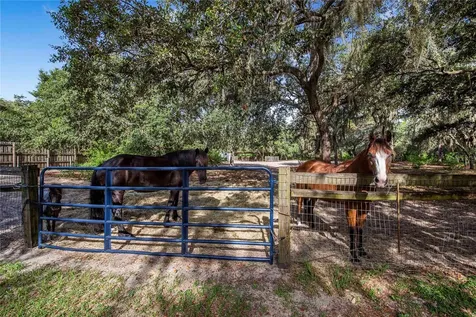 10740 Jim Edwards Road Haines City FL 33844