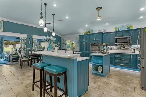 4147 Deskin Lane The Villages FL 32163