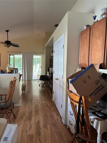 27450 Sugar Loaf Drive Wesley Chapel FL 33544