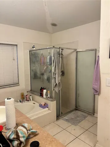 27450 Sugar Loaf Drive Wesley Chapel FL 33544