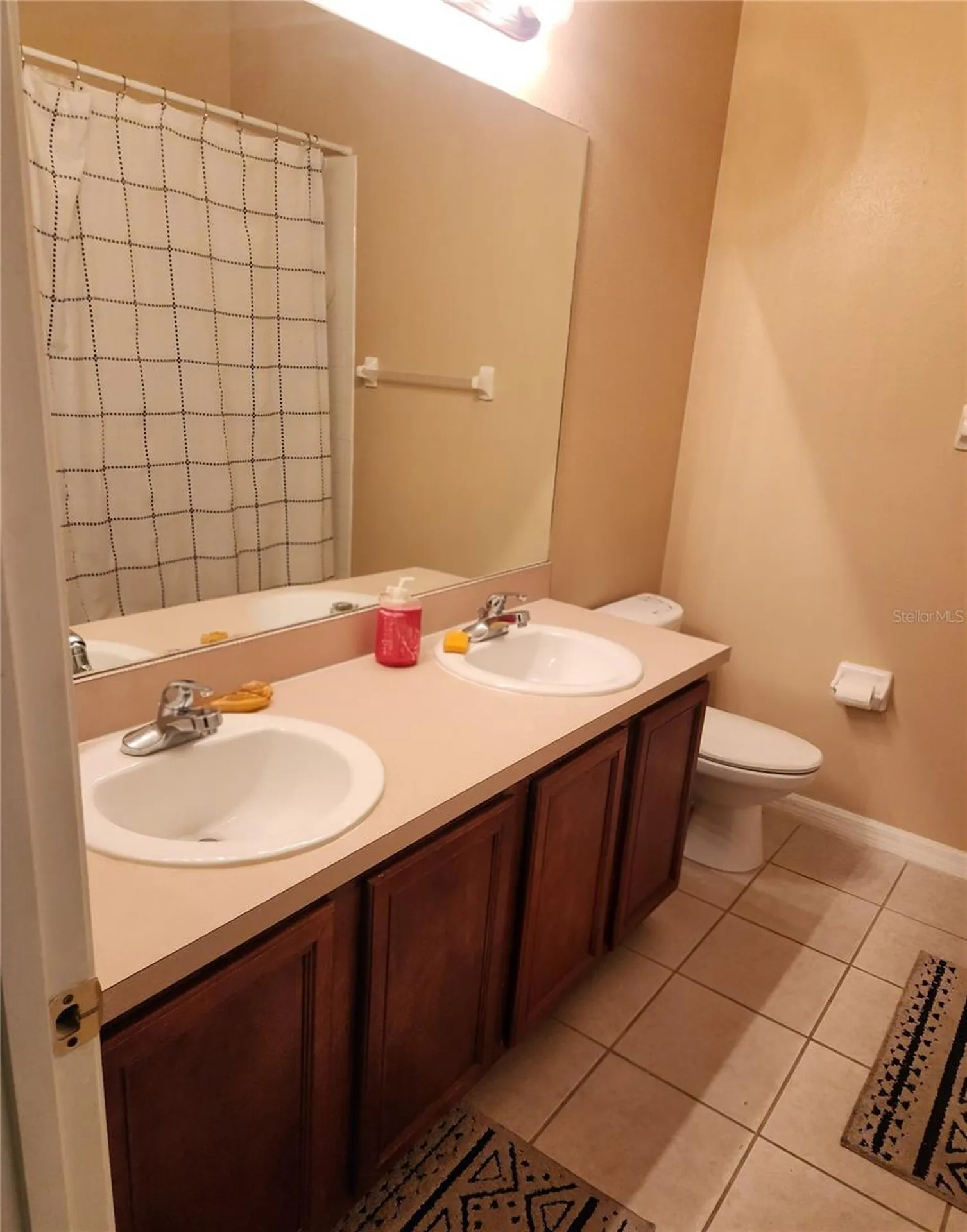9611 Carlsdale Drive Riverview FL 33578