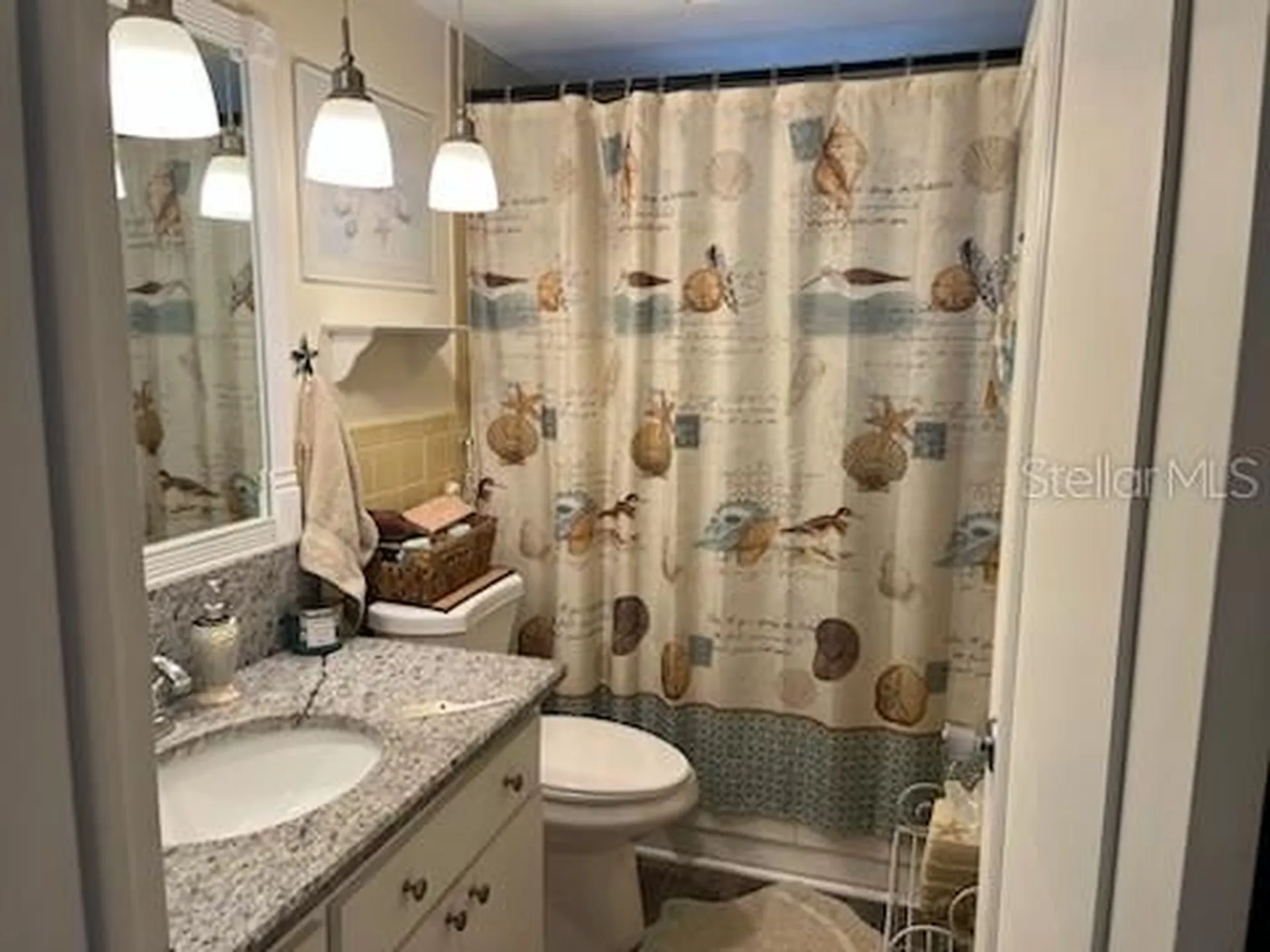 3419 Paloma Drive Holiday FL 34690