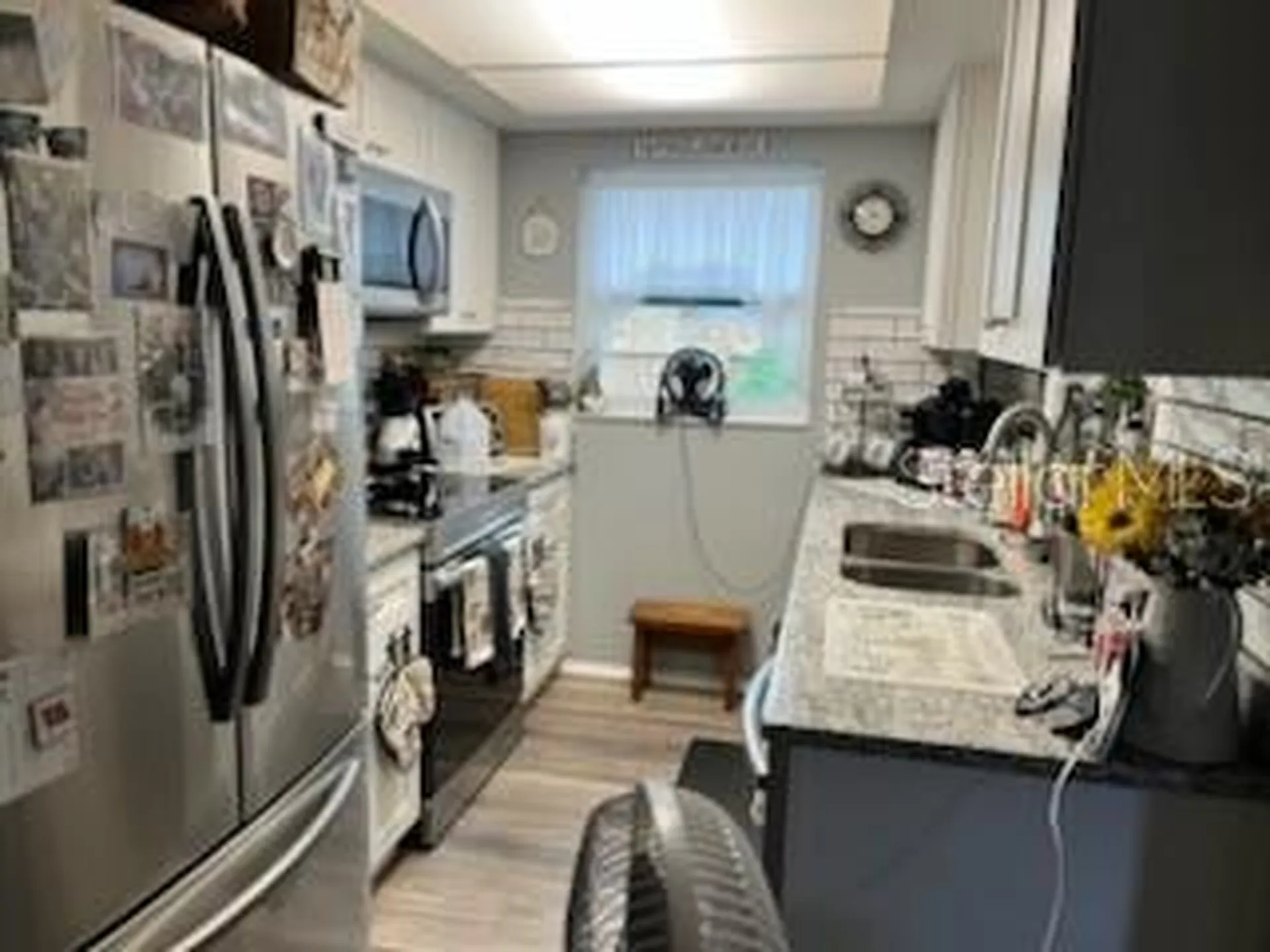 3419 Paloma Drive Holiday FL 34690