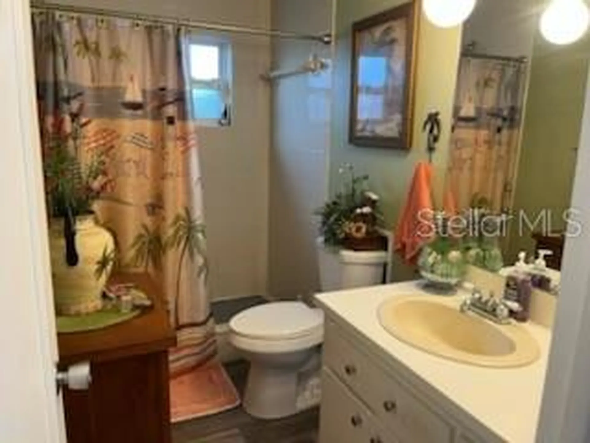 3419 Paloma Drive Holiday FL 34690