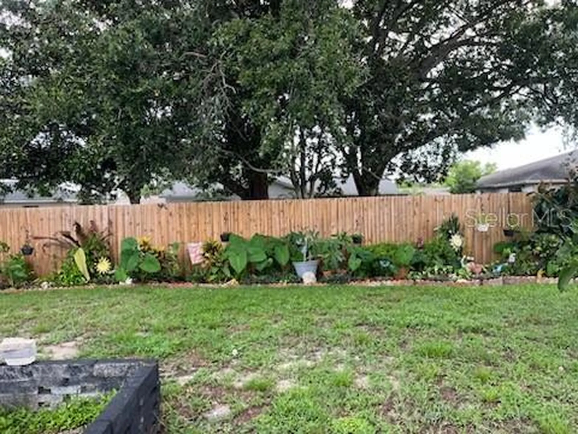 3419 Paloma Drive Holiday FL 34690