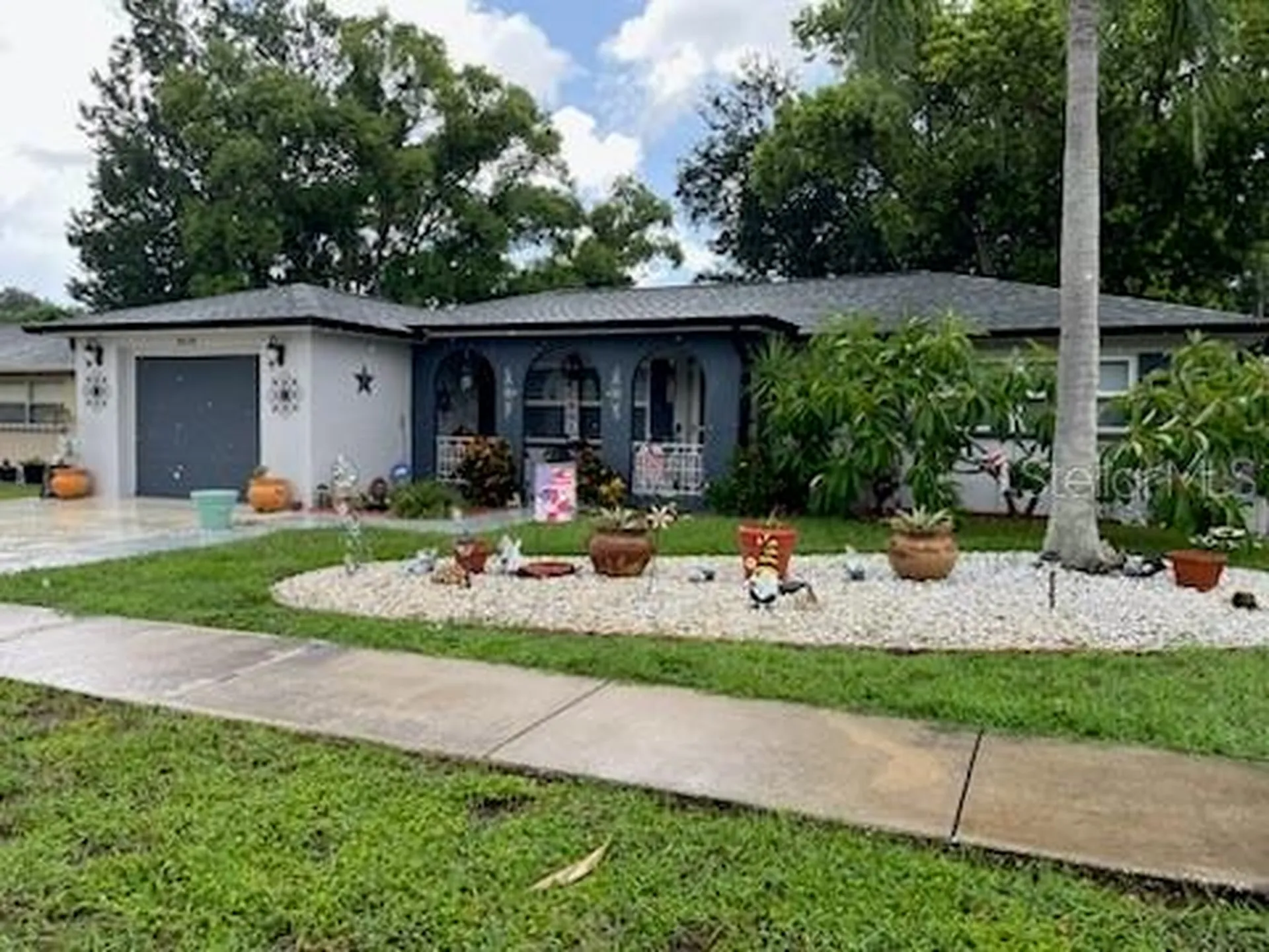3419 Paloma Drive Holiday FL 34690